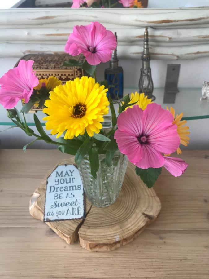 B&B Bij De Zee Centre Of Julianadorp 10 Min From Beaches Екстериор снимка