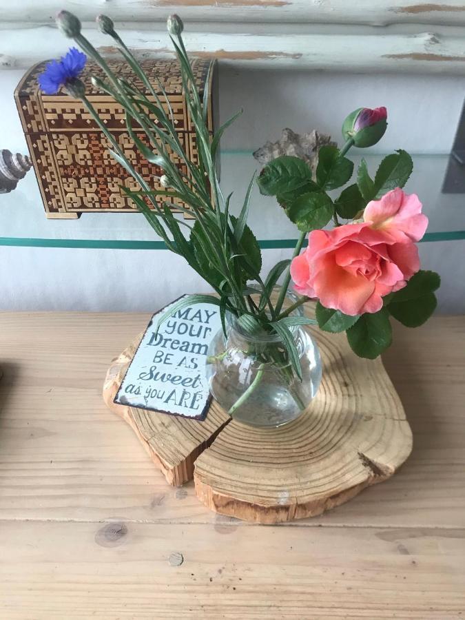 B&B Bij De Zee Centre Of Julianadorp 10 Min From Beaches Екстериор снимка